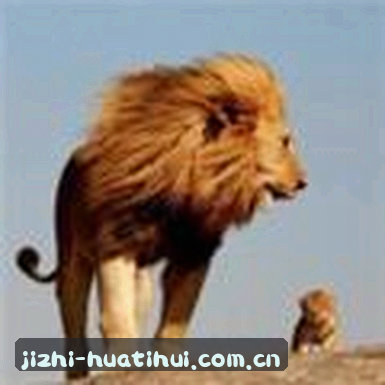 吴杰